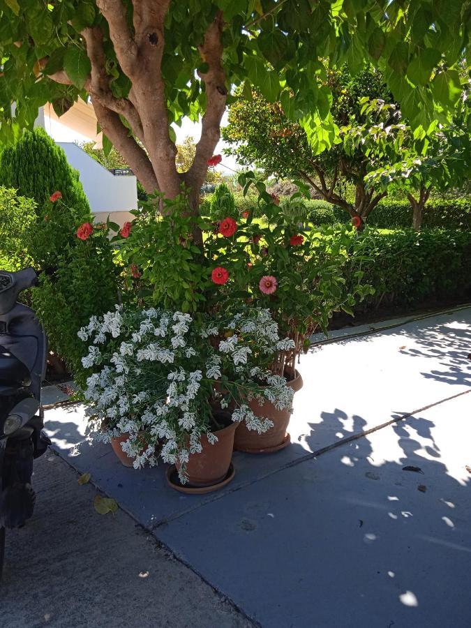 Katerina House Finikounta
