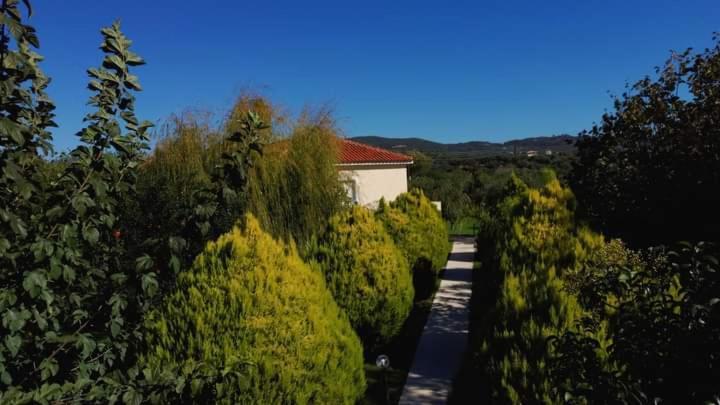Katerina House