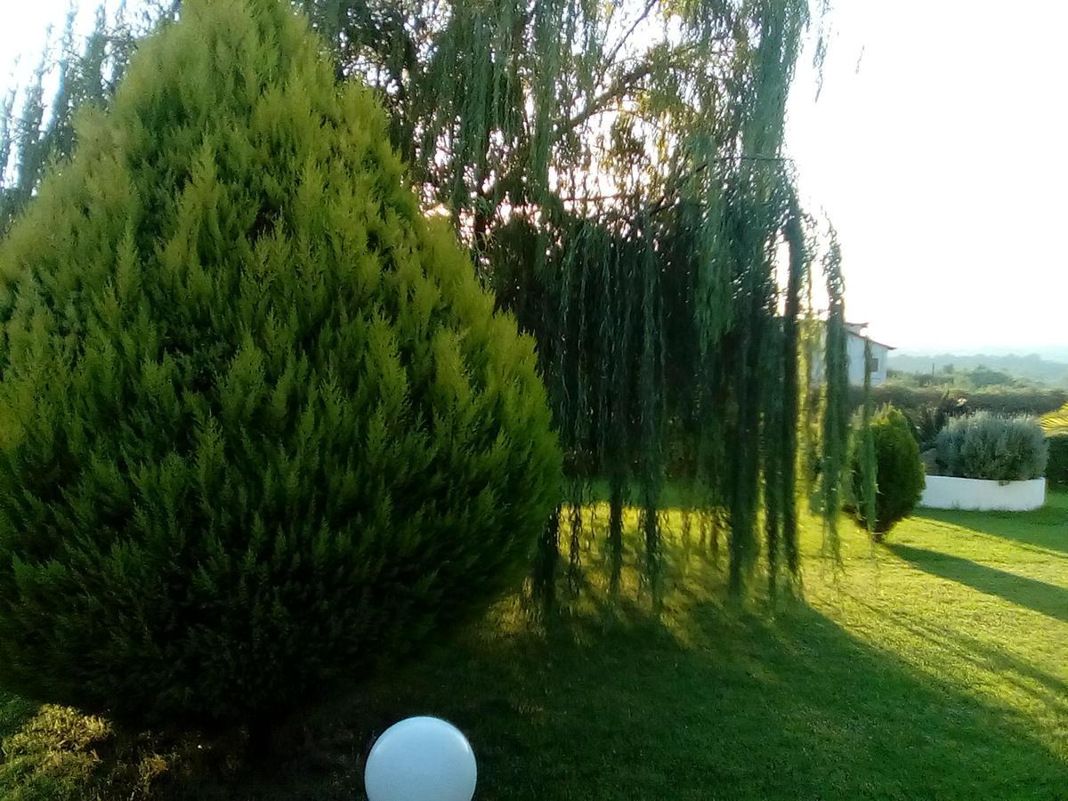 Katerina House * Finikounta
